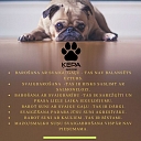 "Paw", fresh food concept store