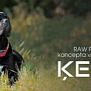 "Paw", fresh food concept store