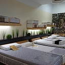 Мягкая мебель и матрасы