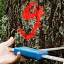 Forest administration