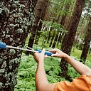 Forest administration