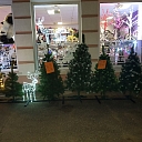 Christmas decorations