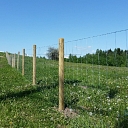 Agricultural mesh fence
