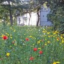 Гостевой дом "Стикани"