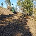 Forest administration