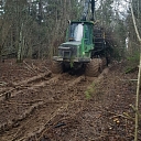 Delivery of woodchips