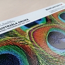 Buvplastikati.lv uv druka uz plastikāta industriālā uv druka plastikāta apdruka uv druka uv druka uz plastikāta wmt baltic