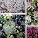 Flower arrangements