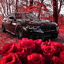 Авто сервис, запчасти