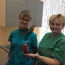 Veterinary clinic IKAROSS