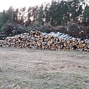 Logging and forestry. Territory cleanup, tree sawing, grass cutting and mulching, wood chipping