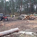 Logging and forestry. Territory cleanup, tree sawing, grass cutting and mulching, wood chipping
