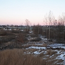Logging and forestry. Territory cleanup, tree sawing, grass cutting and mulching, wood chipping