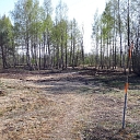 Logging and forestry. Territory cleanup, tree sawing, grass cutting and mulching, wood chipping