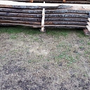 Logging and forestry. Territory cleanup, tree sawing, grass cutting and mulching, wood chipping