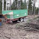Logging and forestry. Territory cleanup, tree sawing, grass cutting and mulching, wood chipping
