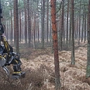 "AlderWood", LTD, Logging in Kurzeme
