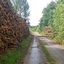 "AlderWood", LTD, Logging in Kurzeme