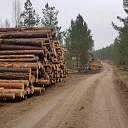 "AlderWood", LTD, Logging in Kurzeme