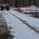 "AlderWood", LTD, Logging in Kurzeme