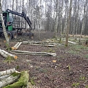 "AlderWood", LTD, Logging in Kurzeme