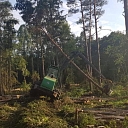 "AlderWood", LTD, Logging in Kurzeme