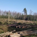 "Ольха", ООО, Лесозаготовка в Курземе