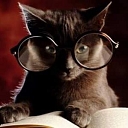 Glasses, eyeglass lenses, sunglasses, contact lenses