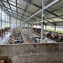 Монтаж и электромонтаж оборудования Delaval для коровьих ферм