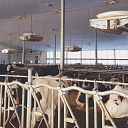 Sale and installation of fans of the Canadian company SECCO