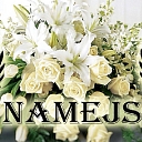 Похоронное бюро Namejs