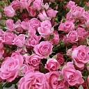 Golden flower, Flower base