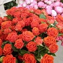 Golden flower Flower shop in Ventspils