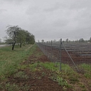 Agricultural fence with posts