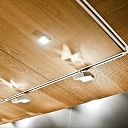 Wood veneered ceiling