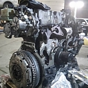 Diesel repair KASS Riga