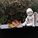 Похоронные принадлежности