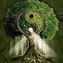 Dzintra Tintes doctor's practice in homeopathy