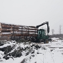 Logging