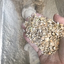 GRAIN PROCESSING AND FEED PREPARATION