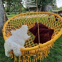 Guest house in Rucava