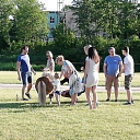 Poniji.lv - ponies for events, children parties