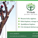 Tn koki, dangerous tree cutting