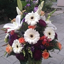 Flower bouquets. Flower shop in Baldone Meldra.