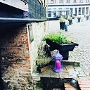 Eat deliciously in Kuldiga