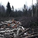 Mežizstrāde, meža īpašumu apsaimniekošana, cirsmu sagatavošana - stigošana, dastošana, lauksaimniecības zemju atmežošana