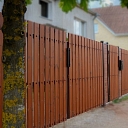koka žogi