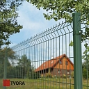 žogi