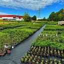 Plant nursery