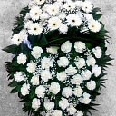 Лодки